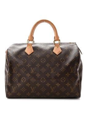 Louis Vuitton Speedy 30 #308238L10B